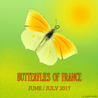 Butterflies of France  June/July 2017