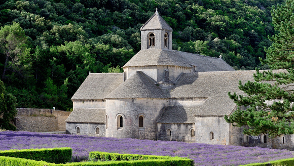 Sénanque Abbey, Vaucluse in Provence, France.