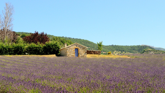 The Jabron Valley, Near Sisteron, Alpes-de-Haute-Provence,France.