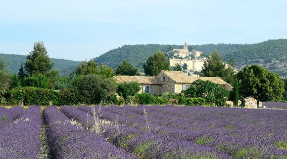 Banon ,Alpes-de-Haute-Provence,France.